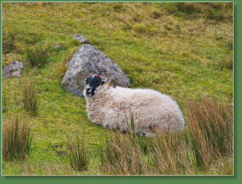 Glen Head Tower Loop, Irland