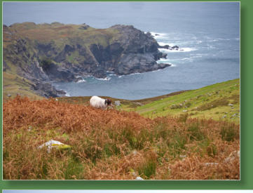 Glen Head Tower Loop, Irland