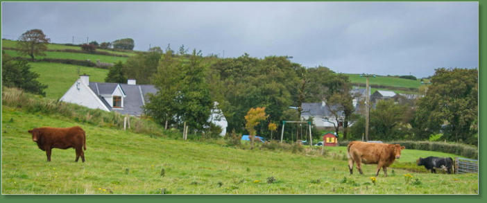 Rathfran Abbey, Irland