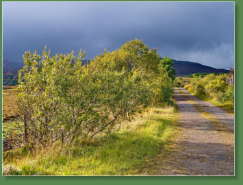 Mitten in Mayo, Irland