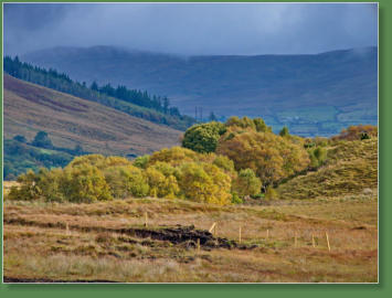 Mitten in Mayo, Irland
