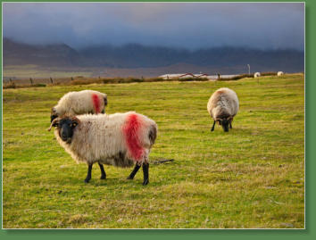 Achill Island, Mayo, Irland