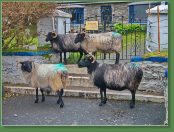 Achill Island, Irland