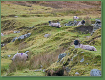 Das verlassene Dorf bei Slievemore - Achill Island, Irland