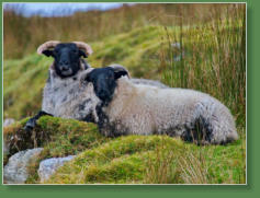 Das verlassene Dorf bei Slievemore - Achill Island, Irland