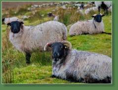 Das verlassene Dorf bei Slievemore - Achill Island, Irland