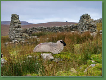 Das verlassene Dorf bei Slievemore - Achill Island, Irland