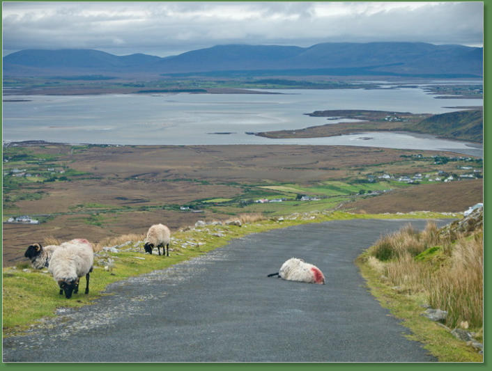 Minaun Heights - Achill Island, Irland