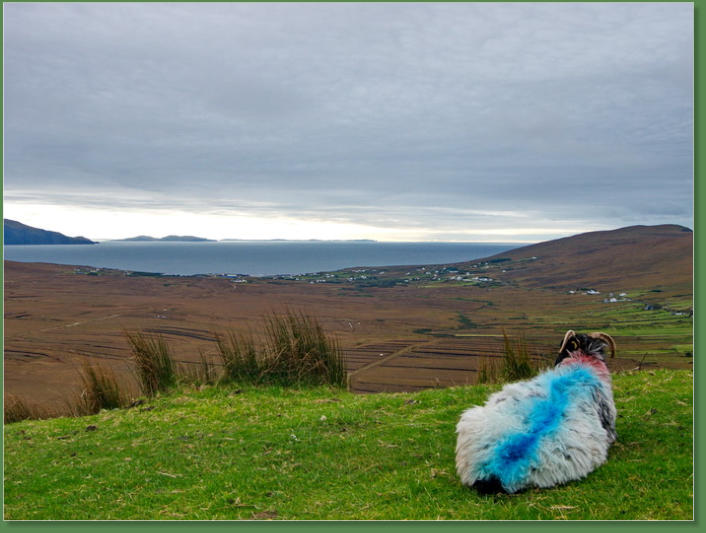Minaun Heights - Achill Island, Irland
