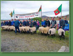 Sheep Show, Achill Island