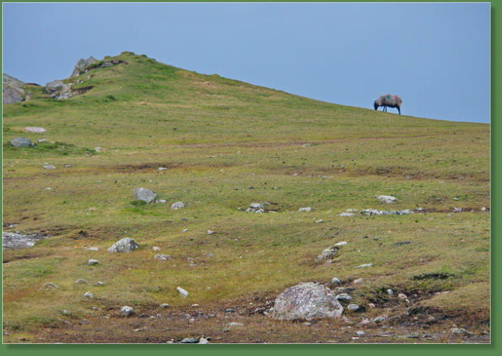 Achill Island - Spaziergang entlang der Westküste, Irland