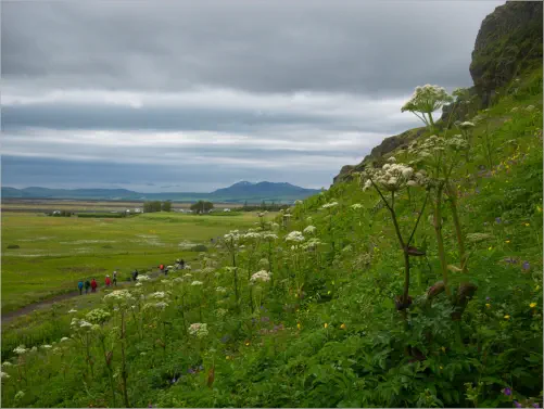 In der Umgebung vom Seljalandsfoss