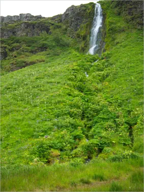 In der Umgebung vom Seljalandsfoss