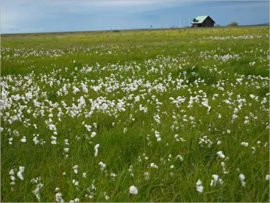 In der Umgebung vom Seljalandsfoss