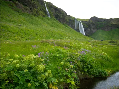 In der Umgebung vom Seljalandsfoss