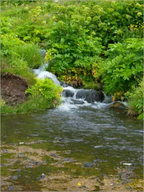 In der Umgebung vom Seljalandsfoss