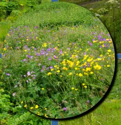 In der Umgebung vom Seljalandsfoss