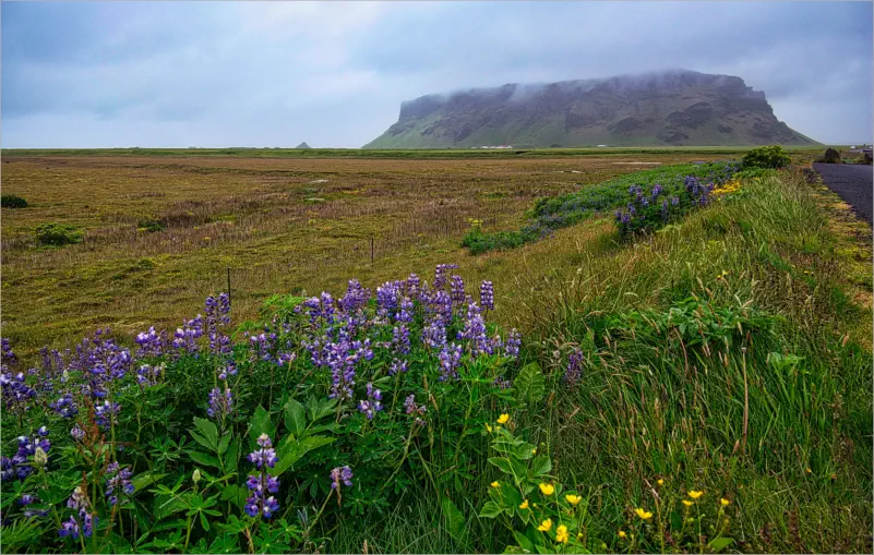 Entlang der Ringstraße bei Vik