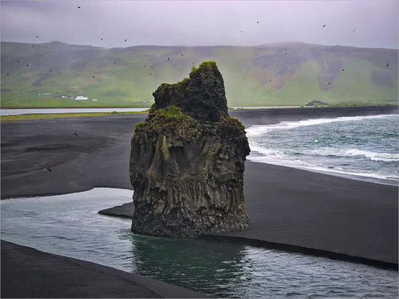 Puffins (Papageientaucher) am Reynisfjara Viewpoint