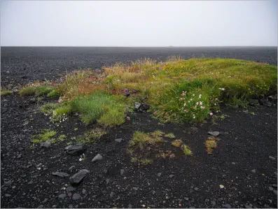 Am Strand von Sólheimasandur