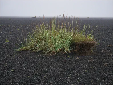 Am Strand von Sólheimasandur