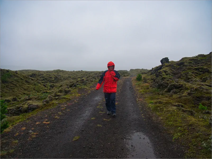 Lavafelder entlang der Ringstraße - Island