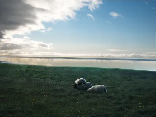 Blick aus unserer Cabin von Gerdi Guesthouse