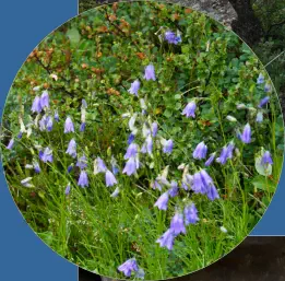 Dimmuborgir - Mývatn, Island