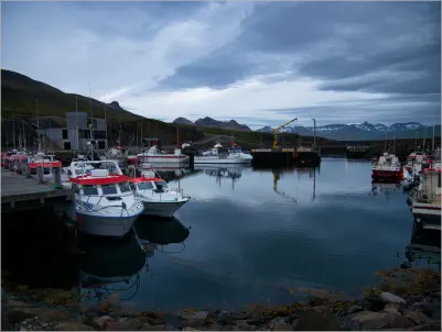 Fischereihafen und Puffinfelsen in Borgarfjörður, Island