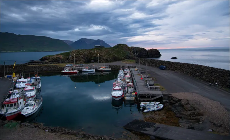 Fischereihafen und Puffinfelsen in Borgarfjörður, Island