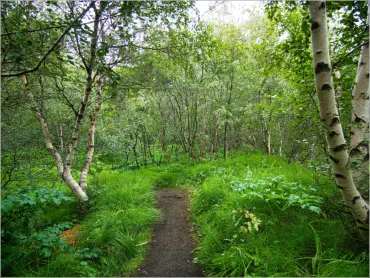 Höfði - Mývatn, Island