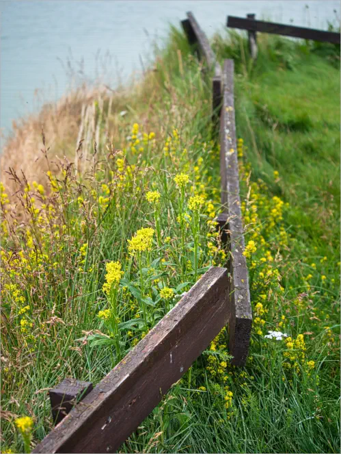 Höfði - Mývatn, Island
