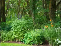 Höfði - Mývatn, Island