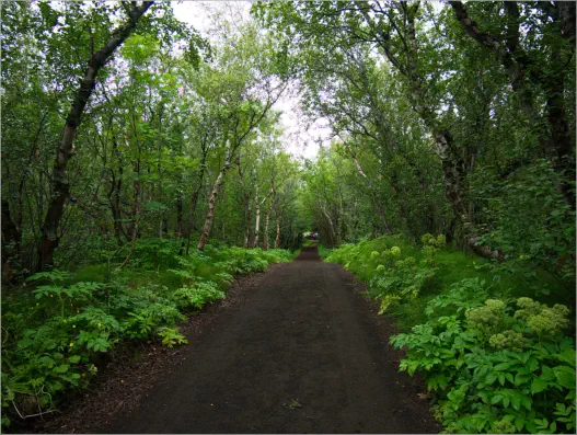 Höfði - Mývatn, Island