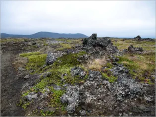 Kontinentalplatten bei Mývatn, Island