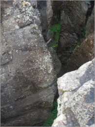 Kontinentalplatten bei Mývatn, Island