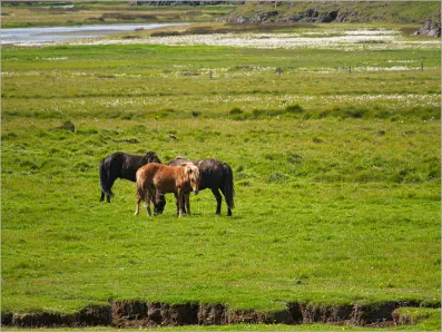 Pjódvegur, Austurland, Island