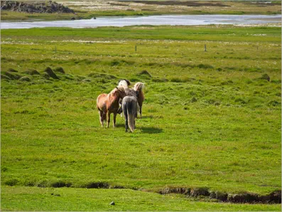 Pjódvegur, Austurland, Island