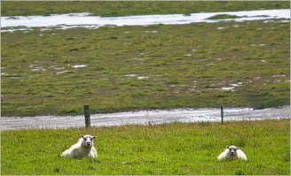 Pjódvegur, Austurland, Island
