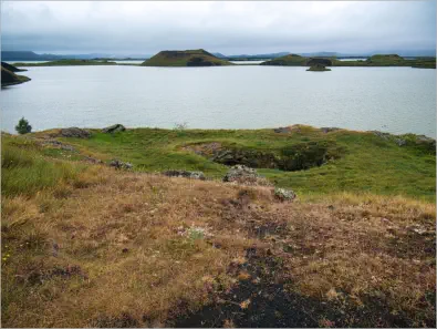 Skútustaðagígar-Pseudokrater Mývatn, Island