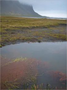 Stokksnes, Island