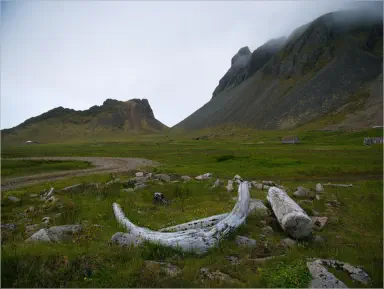 Stokksnes, Island