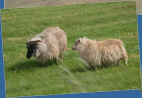 Unterwegs in Austurland, Island