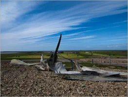 Viking Cafe - Stokksnes, Island