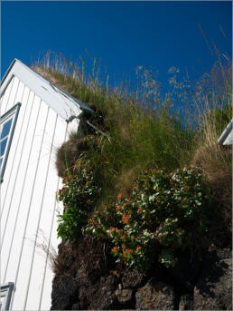 Außenansichten - The Turf House Museum Grenjaðarstaður, Island