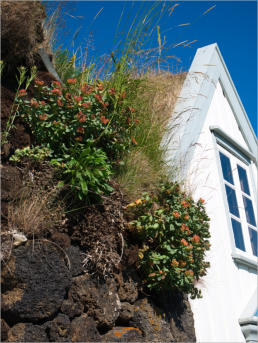 Außenansichten - The Turf House Museum Grenjaðarstaður, Island