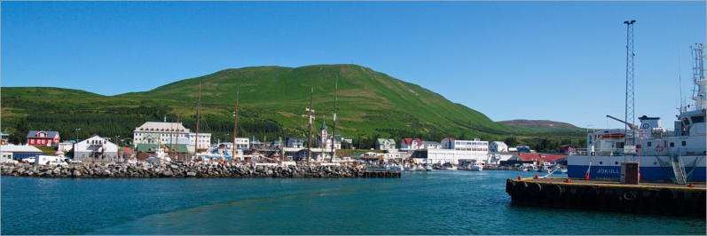 Blick auf Husavik, Island