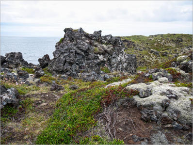 Djupalonssandur/Dritvik - Halbinsel Snæfellsnes, Island