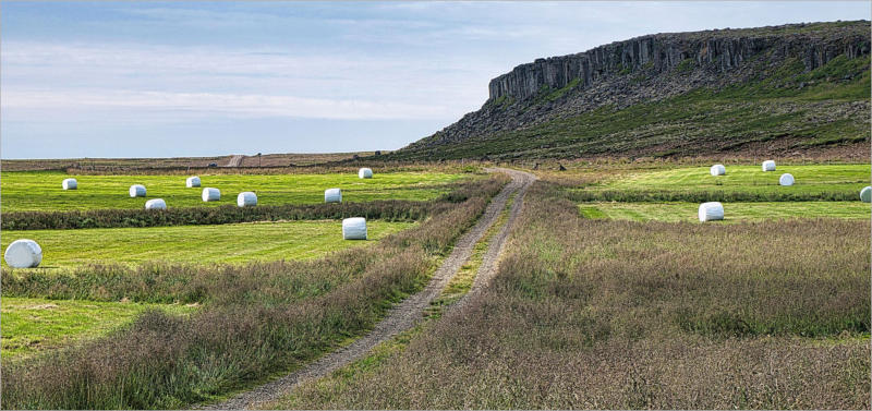 Gerðuberg Cliffs und Umgebung, Island
