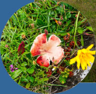 Hólmsbergsviti - Reykjanes, Island